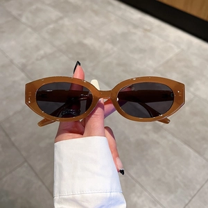 Retro Oval Sunglasses UV400 Protection PC Frame Vintage Fashion Eyewear For Women Men Outdoor Travel