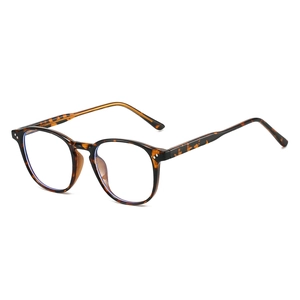 Monture de lunettes ronde en écaille TR90 ultra-légère avec branches à noyau métallique