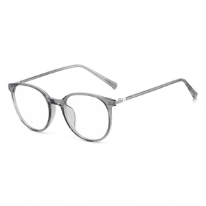Minimalist transparent grey round frame glasses with tri-color metallic temple accents