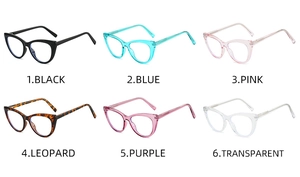Katzenaugen Brillenkollektion in Schwarz, Blau, Rosa, Leopard, Lila und Transparent