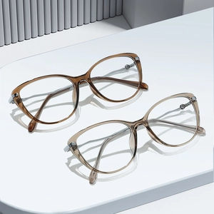 Fashionable cat-eye glasses with metal legs in champagne and tea transparent frames