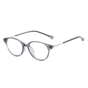Modern grey transparent round frame blue light glasses with slim silver metal temples