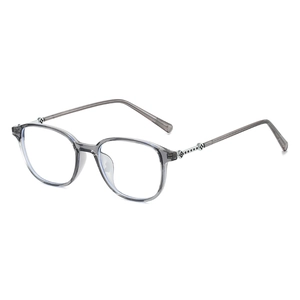 Classic small frame glasses with transparent grey finish and metallic temple details