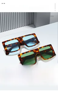 Close-up of retro square sunglasses with tortoiseshell frames and colored lenses