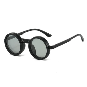 Lunettes de soleil rétro rondes classiques noir mat avec verres gris clair tendance
