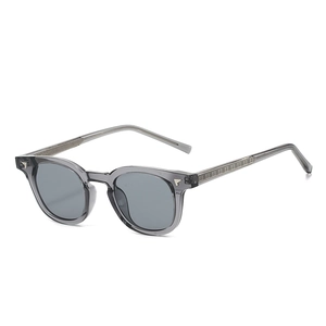 Lunettes de soleil mixtes TR90 gris translucide avec détails en métal ailé argent