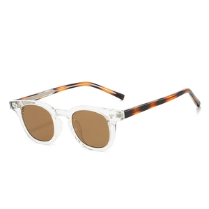 Lunettes de soleil TR90 rétro avec monture transparente et branches en écaille de tortue