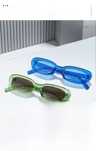 Vue détaillée des lunettes de soleil ovales rétro avec montures bleues et vertes