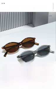 Detail of oval tortoiseshell and transparent grey sunglasses on a white display stand