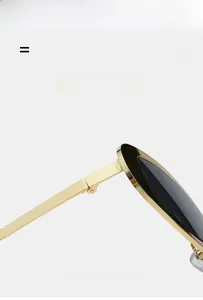 Détail de la charnière en métal poli sur lunettes de soleil à petite monture élégante