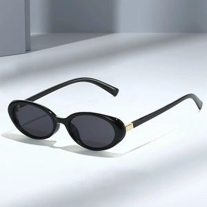 Retro Oval Sunglasses Vintage Small Frame PC AC UV Protection Fashion Eyewear For Women Men Metal Hinge