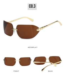 Detail view of rimless sunglasses with brown lenses and golden snake-style metal temples