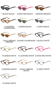 Catalogue détaillé présentant 16 variantes de lunettes de soleil rétro œil-de-chat et montures