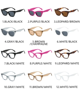 Grid display showing 12 different color variants of cat-eye sunglasses and frames