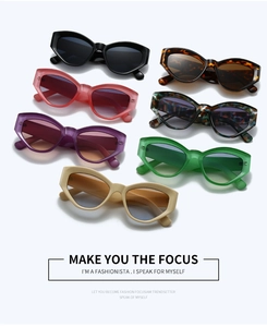 Flat lay of colorful cat-eye sunglasses collection in various trendy frames and lenses
