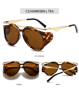 Detailed views of vintage Y2K sunglasses in Hawksbill Tea with gold trim accents