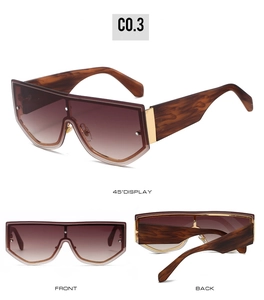 Detail view of tortoiseshell shield sunglasses with gradient lenses and gold metal accents