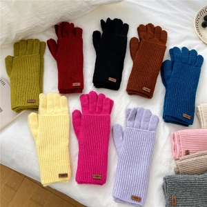 Women's Solid Color Ribbed Knitted Gloves Warm Winter Touch Screen Full Finger Gloves With Leather Patch For Couples Students