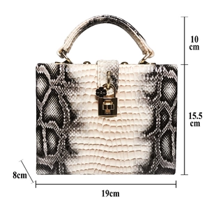 Dimensions détaillées du sac boîte imprimé serpent avec fermoir doré et décor fleuri