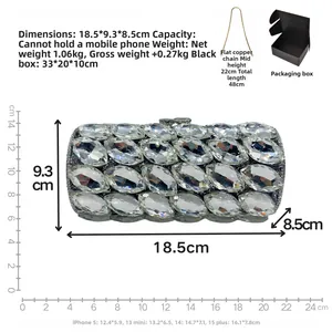 Detailed size specifications of the crystal evening bag showing dimensions and chain length
