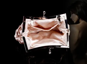 Detail view of champagne satin pleated clutch bag showing interior pocket and metal clasp