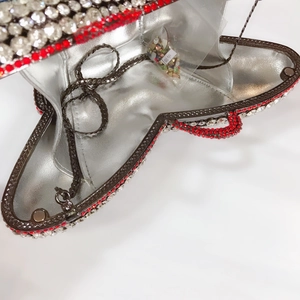 Detail view of butterfly evening clutch with silver leather lining and metal chain strap