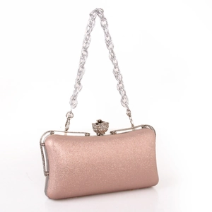 Elegant champagne gold evening clutch bag with floral rhinestone clasp and silver chain