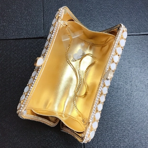 Detail of crystal shell evening clutch with gold lining and metal chain strap