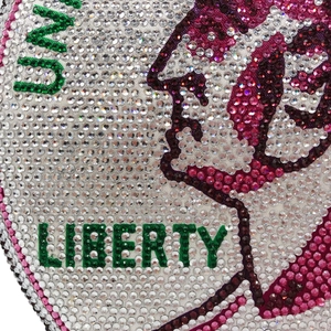 Detailed macro view of sparkling rhinestones and LIBERTY text on the dollar coin clutch bag