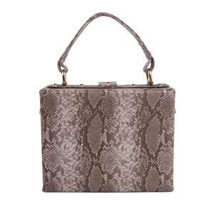 Détails du sac boîte à texture serpent gris avec clous dorés et poignée solide