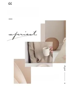 Chic apricot handbag lifestyle view showcasing minimalist design and elegant aesthetics