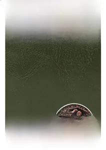 Detail of dark green leather texture with a vintage copper-colored embossed metal buckle