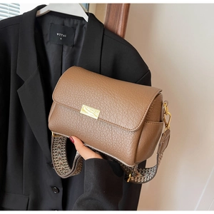 Detail of brown litchi pattern leather crossbody bag with vintage gold buckle and woven strap