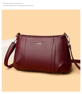 Detail of dark red lychee grain leather crossbody bag with silver yadier metal logo