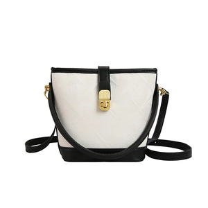 Minimalist black and white contrast bucket bag with geometric texture and gold lock