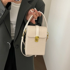 Mini beige vertical textured crossbody bag for women with gold clasp and top handle