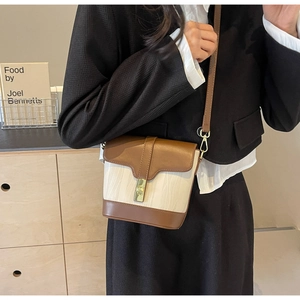 Brown and beige bucket bag shown on a model with a gold metal clasp detail