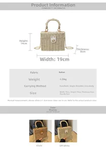 Detail showing straw woven bag dimensions 19x14x8cm with metal chain and handle