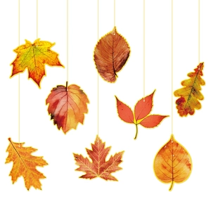 Thanksgiving Autumn Maple Leaves Hanging Decorations Double Sided Cardboard Fall Harvest Party Ornament Home Wall Decor