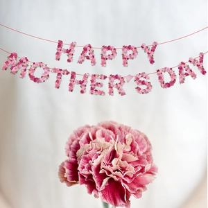 Happy Mother's Day pink flower banner with carnation on a clean white background