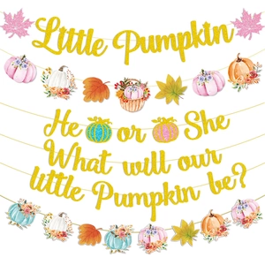 Little Pumpkin gender reveal party banner set with glitter gold letters and autumn theme