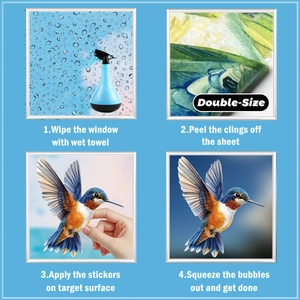 Detail of four-step installation process for double-sided hummingbird static window clings