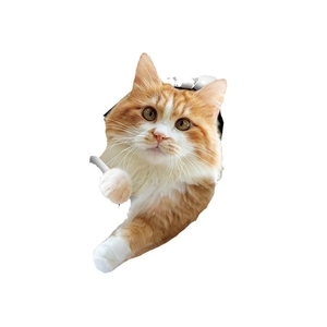 3D cat toilet sticker showing a ginger cat peeking out from a realistic paper tear hole