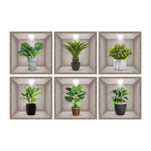 Detail of 3D wall stickers featuring 6 styles of realistic potted plants and wood niches