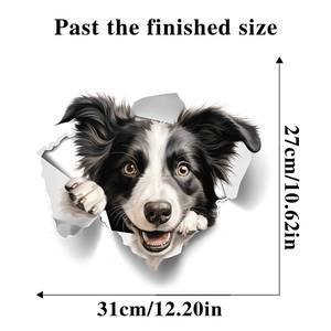 3D Border Collie wall sticker detail showing the finished size 31x27cm for home decor