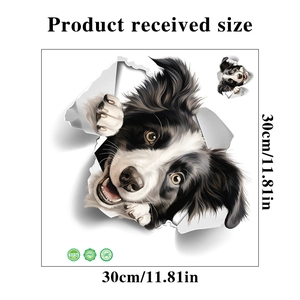 Detailed dimensions of a 30x30cm 3D border collie dog sticker for wall decoration