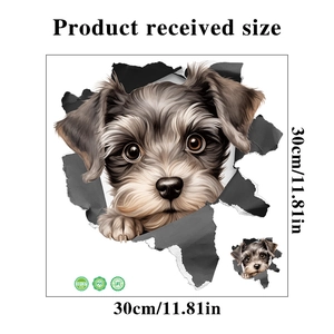 Detailed size chart for 3D cartoon dog wall decal measuring 30cm by 30cm on white background