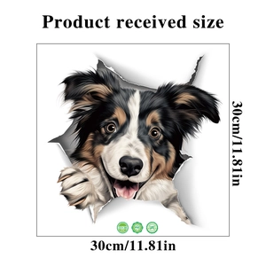 3D border collie decal size chart showing 30x30cm dimensions on white background