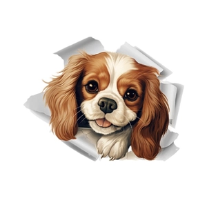 3D Cavalier King Charles Spaniel sticker with realistic cracked wall effect for home decor