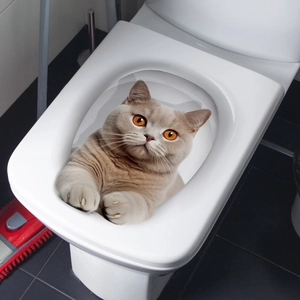 3D British Shorthair cat toilet sticker showing a realistic peeking effect on toilet lid